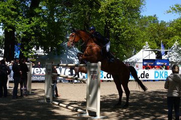 Bild 10 - Derby am 16.5.10